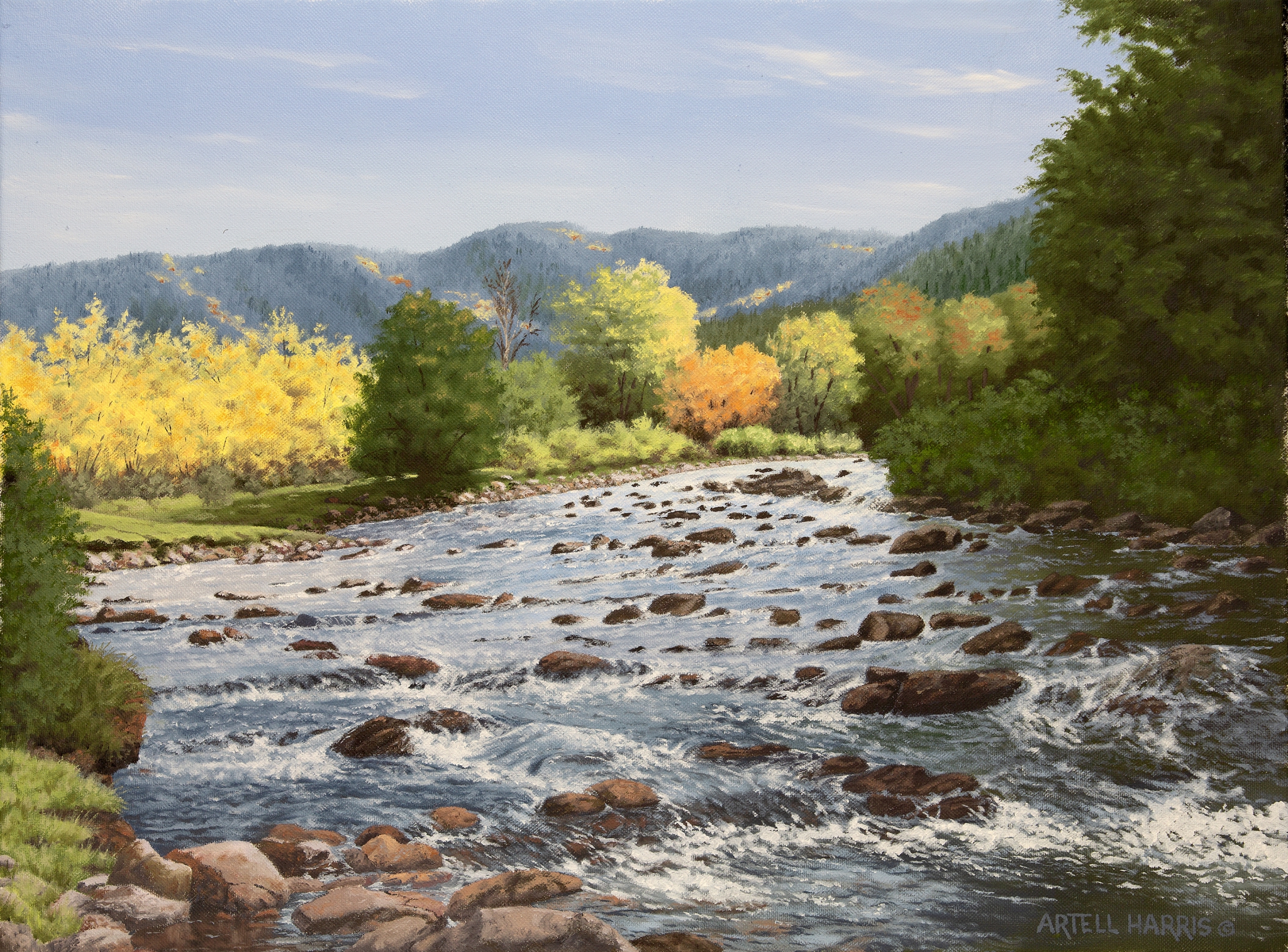 Click here to view Cub River by artell harris