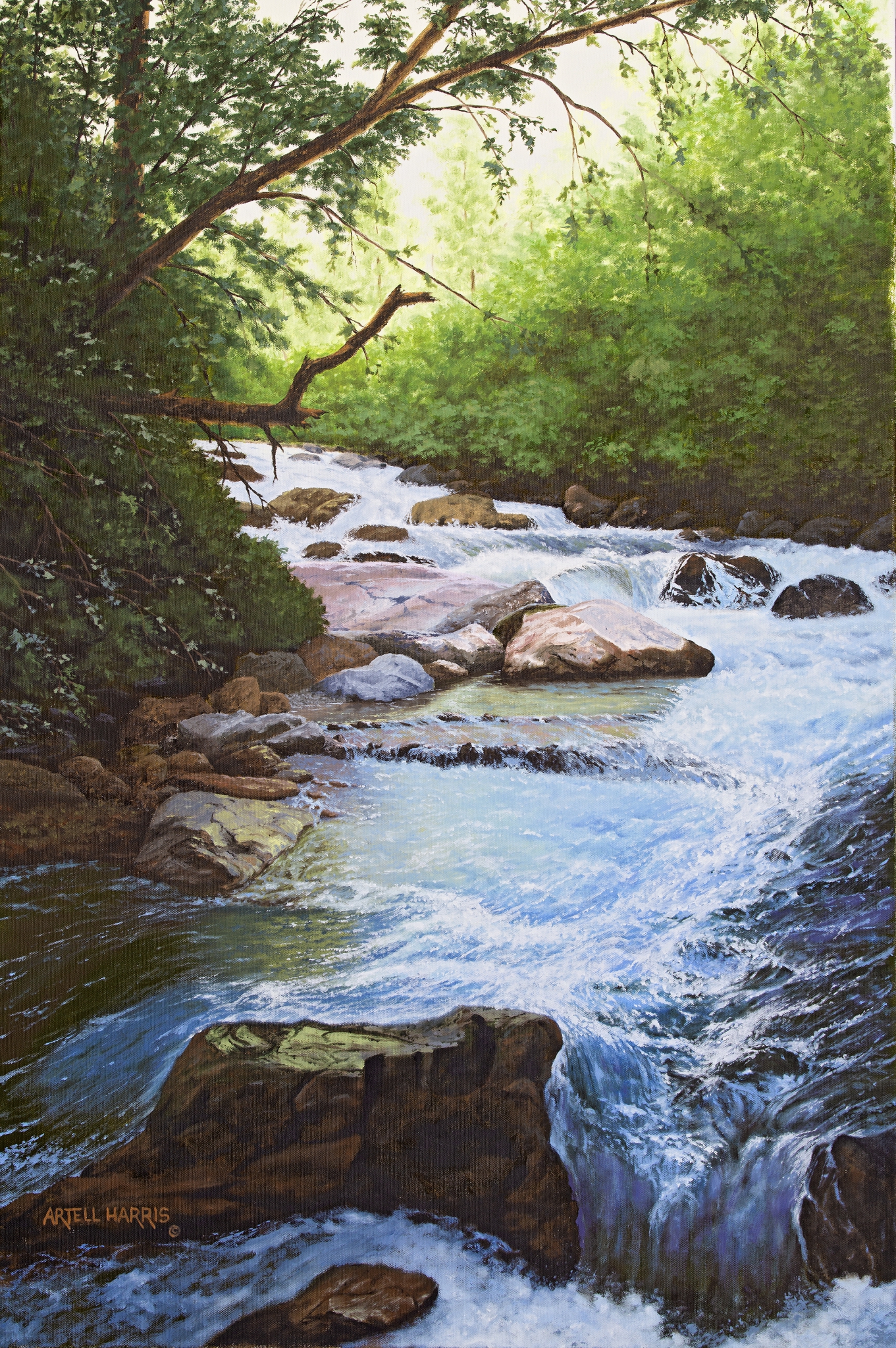 Click here to view Big Cottonwood Canyon 5 by artell harris
