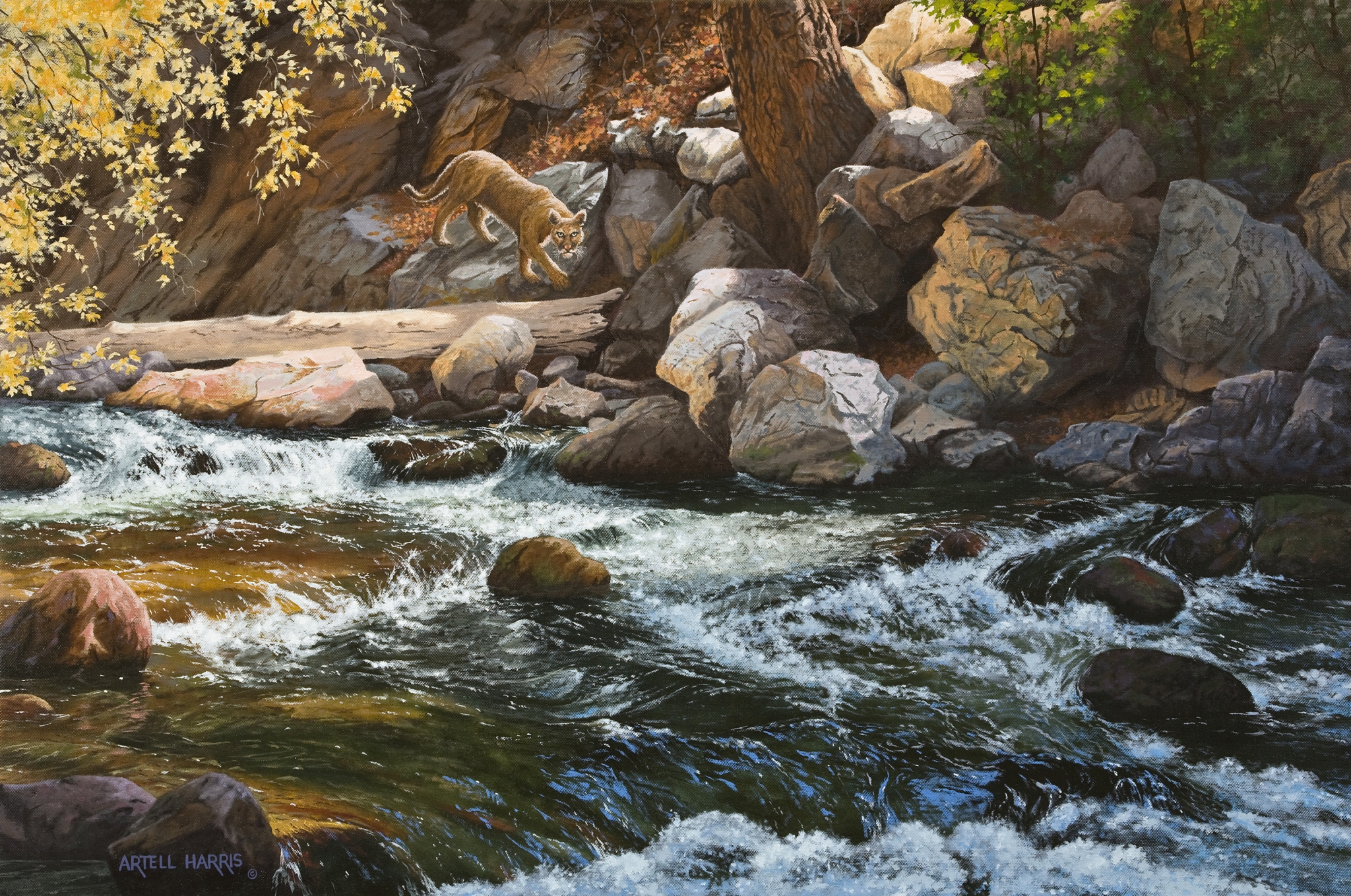 Click here to view Mayor of Cottonwood Canyon by artell harris