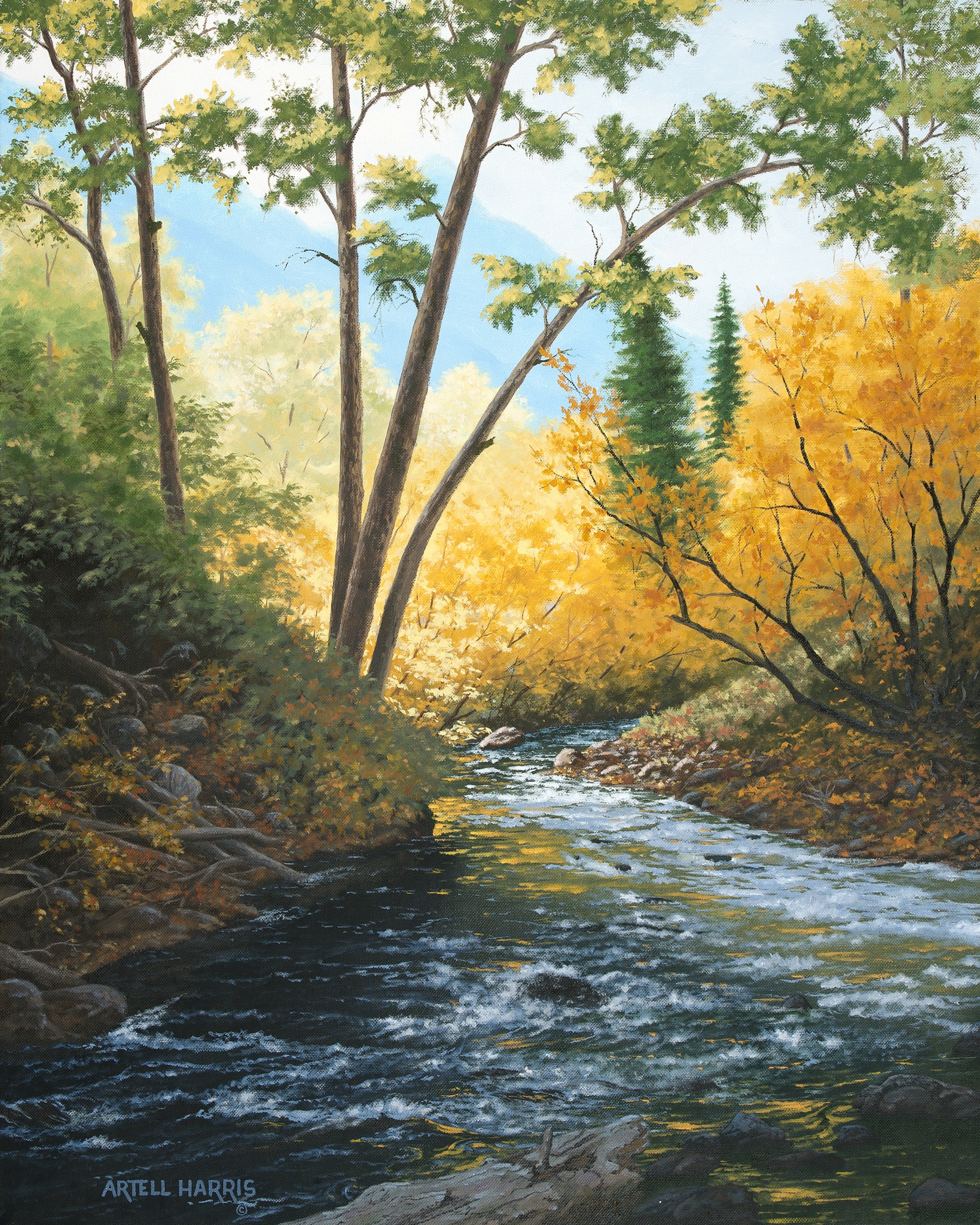 Click here to view Cottonwood Creek #3 by artell harris