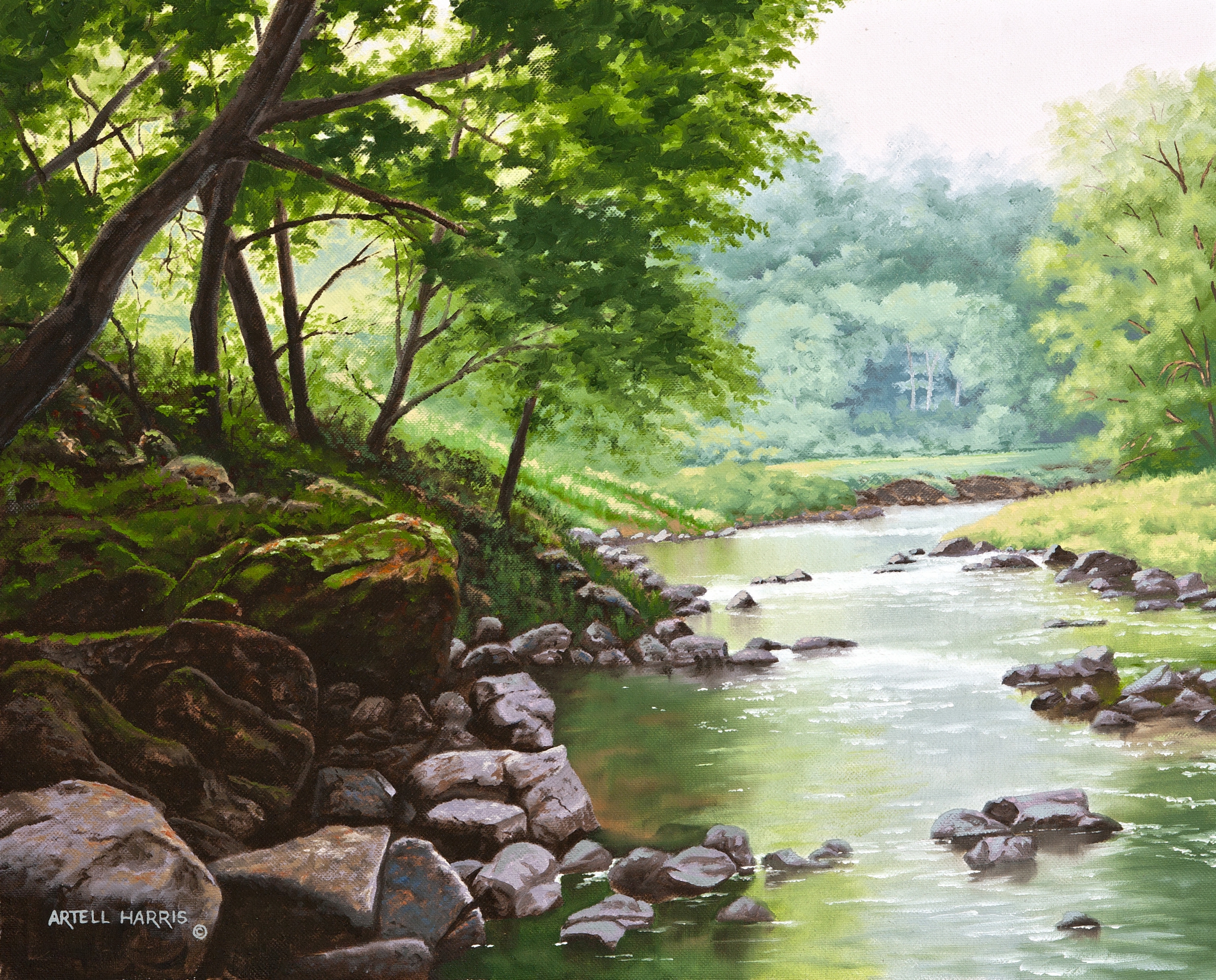 Click here to view Little Neatsu River #2 by artell harris