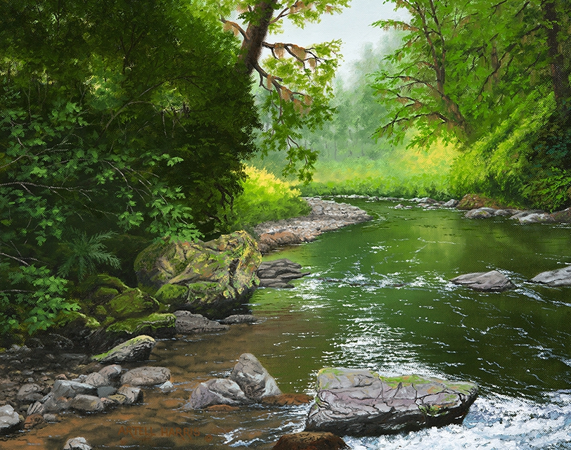 Click here to view Below Drift Creek Falls by artell harris