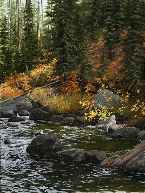 Click here to view Coffee Pot Rapids by artell harris