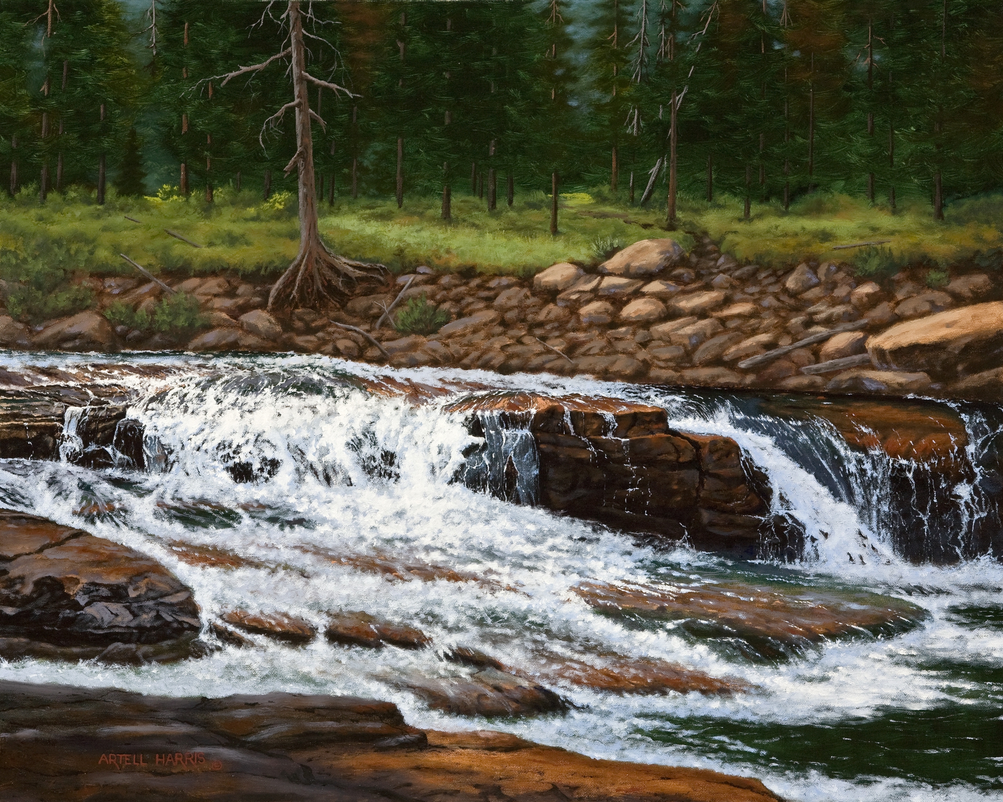 Click here to view Upper Provo River by artell harris