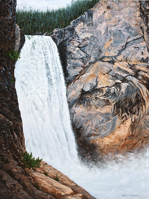 Click here to view Lower Yellowstone Falls by artell harris