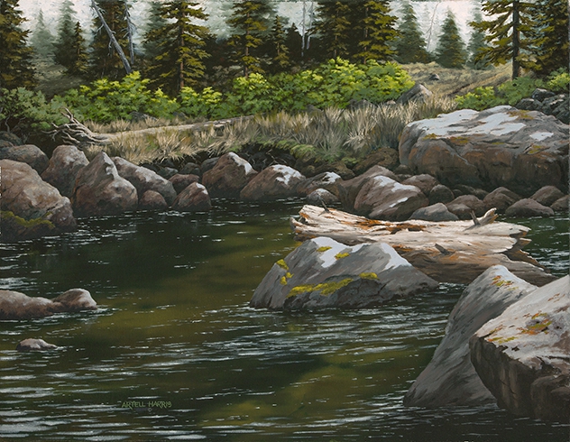 Click here to view Strawberry River by artell harris