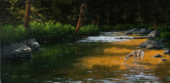 Click here to view Evening Glow by artell harris
