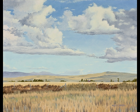 Click here to view Clouds artwork by artell harris
