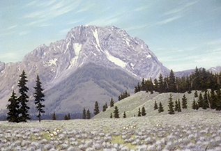 Click here to view Mt. Moran by artell harris