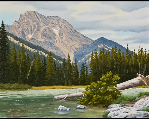 Click here to view String Lake by artell harris