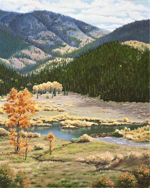 Click here to view Willow Flats by artell harris