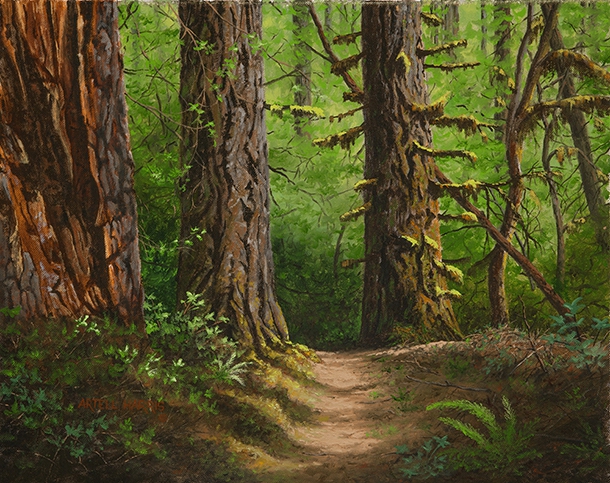 Click here to view Trail to Drift Creek Falls by artell harris
