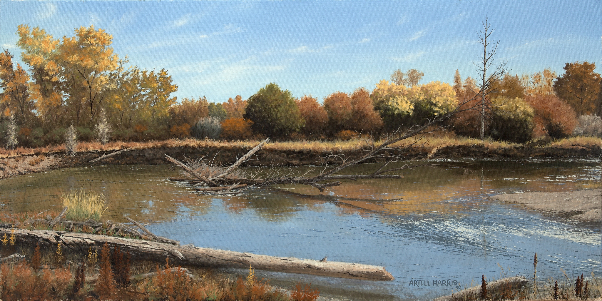 Click here to view Big Lost River #2 by artell harris